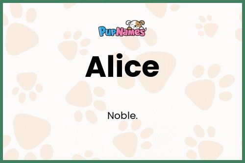 Alice dog name meaning