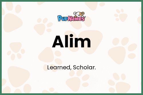 Alim dog name meaning