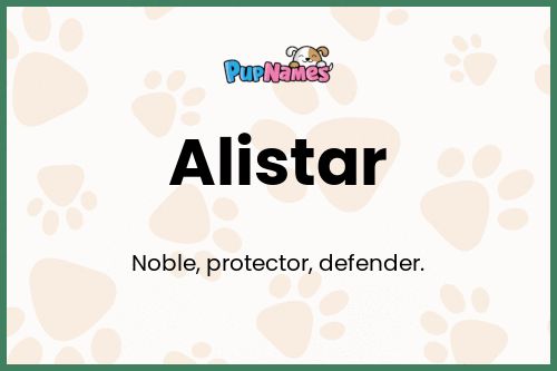 Alistar dog name meaning