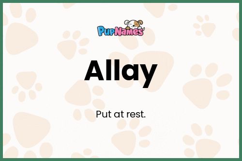 Allay dog name meaning