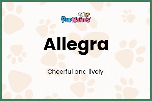 Allegra dog name meaning