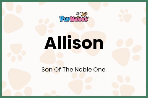 Allison dog name meaning