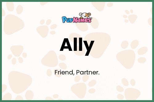 Ally dog name meaning