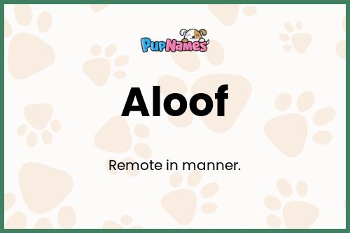 Aloof dog name meaning