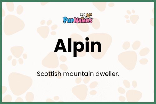 Alpin dog name meaning