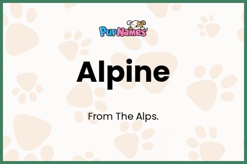 Alpine dog name meaning