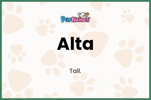Alta dog name meaning