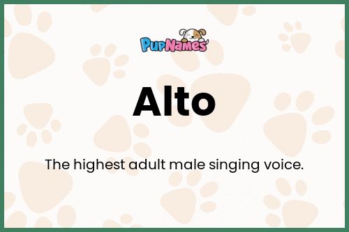 Alto dog name meaning