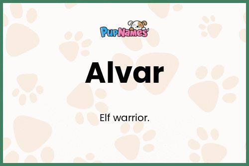 Alvar dog name meaning