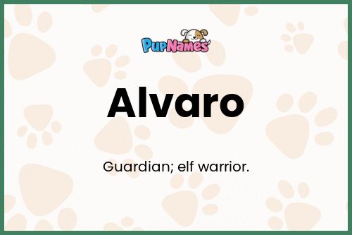 Alvaro dog name meaning