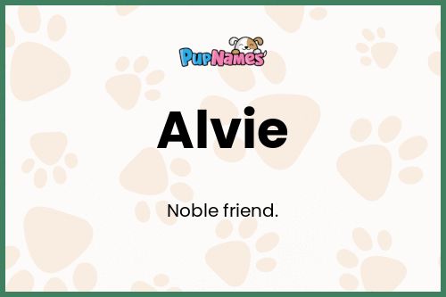 Alvie dog name meaning