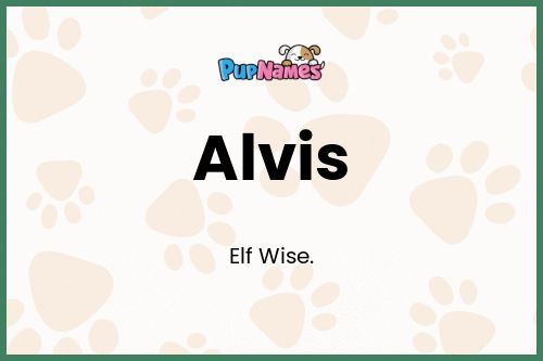 Alvis dog name meaning