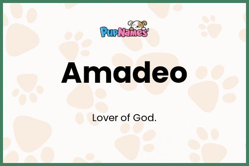 Amadeo dog name meaning