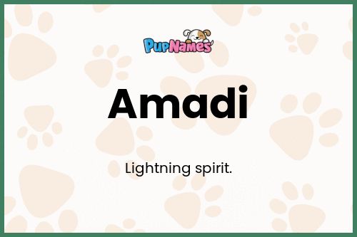 Amadi dog name meaning