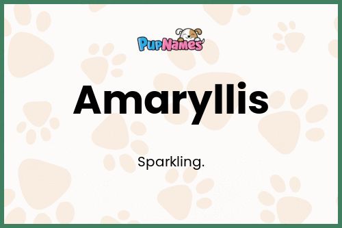 Amaryllis dog name meaning