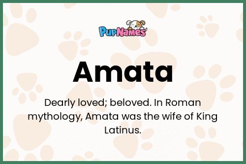 Amata dog name meaning