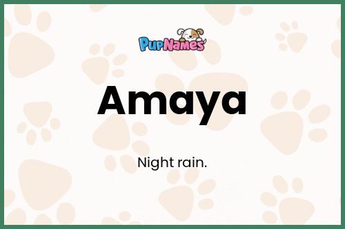 Amaya dog name meaning