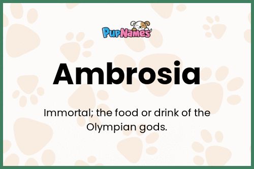 Ambrosia dog name meaning