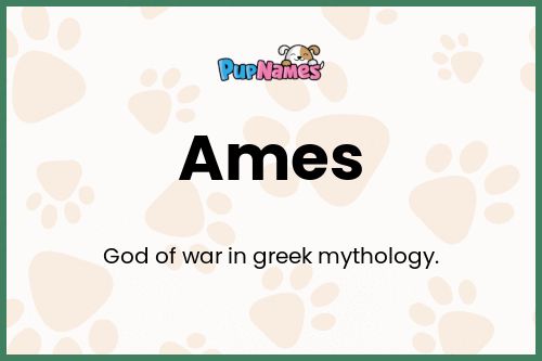 Ames dog name meaning