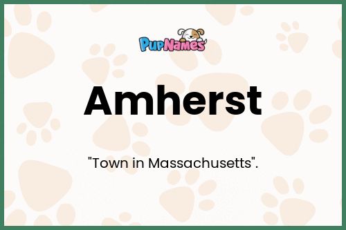 Amherst dog name meaning