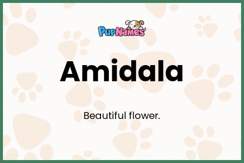 Amidala dog name meaning