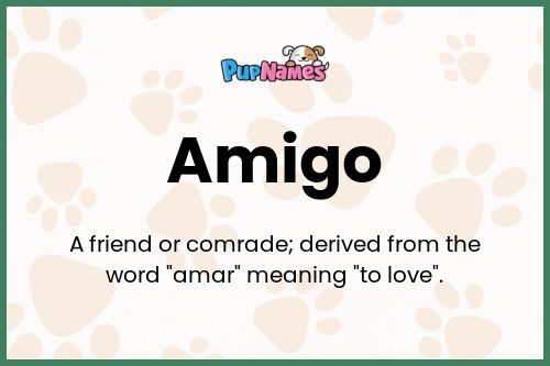 Amigo dog name meaning