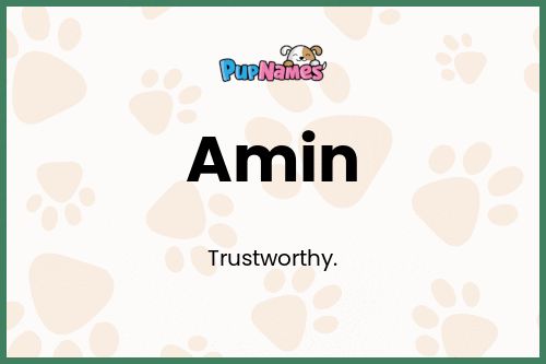 Amin dog name meaning