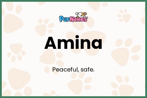 Amina dog name meaning