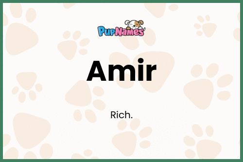 Amir dog name meaning