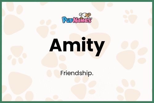 Amity dog name meaning