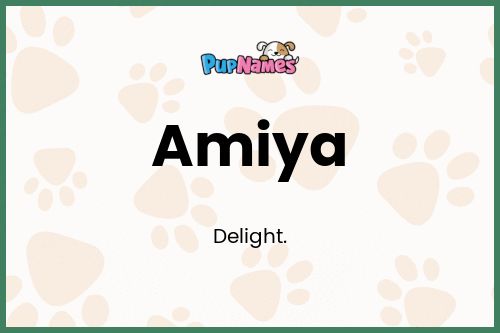 Amiya dog name meaning