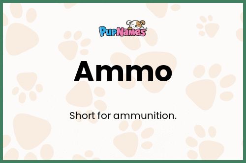 Ammo dog name meaning