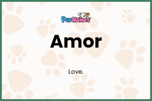 Amor dog name meaning