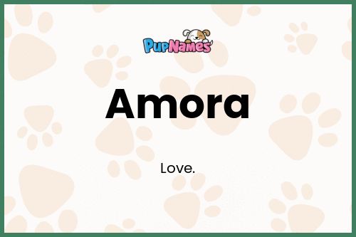 Amora dog name meaning