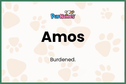 Amos dog name meaning