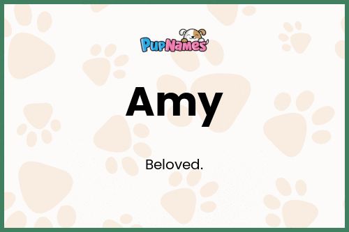 Amy dog name meaning