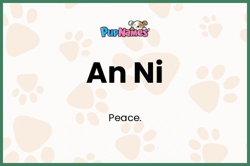 An Ni dog name meaning