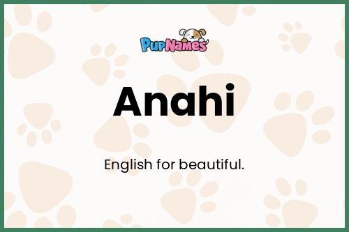 Anahi dog name meaning