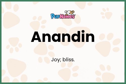 Anandin dog name meaning