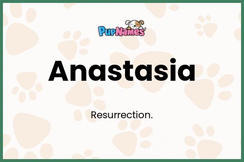 Anastasia dog name meaning