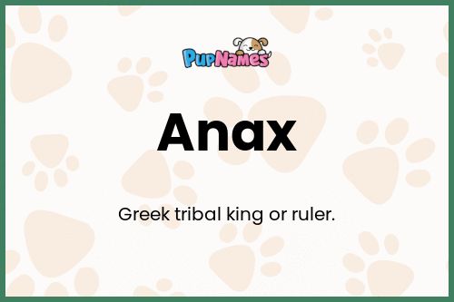 Anax dog name meaning