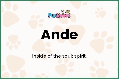 Ande dog name meaning