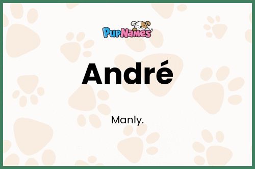 André dog name meaning