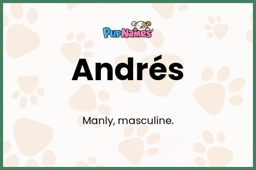Andrés dog name meaning