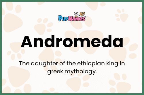 Andromeda dog name meaning