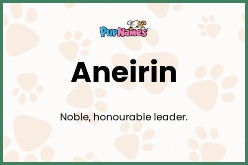 Aneirin dog name meaning