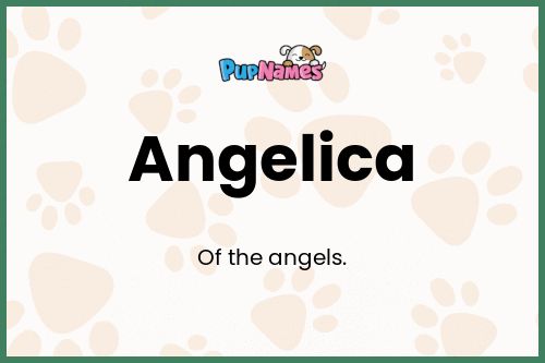 Angelica dog name meaning