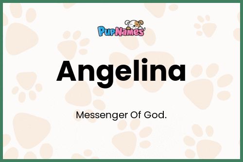 Angelina dog name meaning