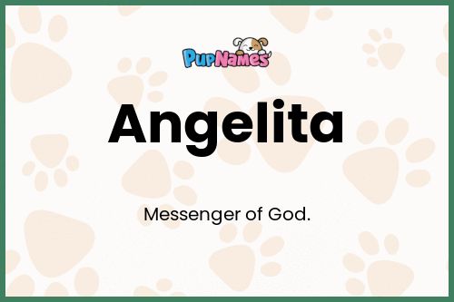 Angelita dog name meaning