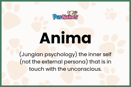 Anima dog name meaning